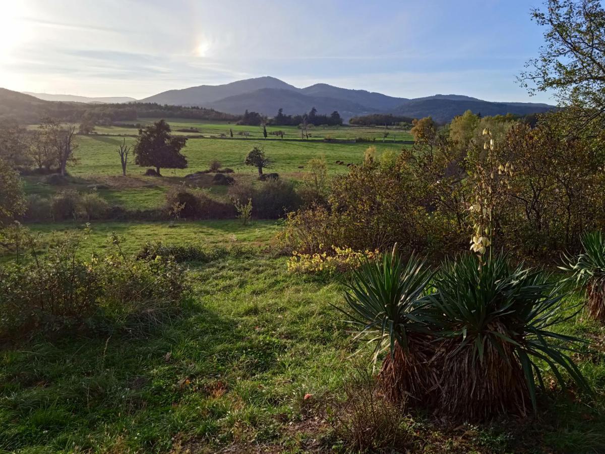Maison Calme Avec Piscine Entouree De Son Parc Quintenas Esterno foto