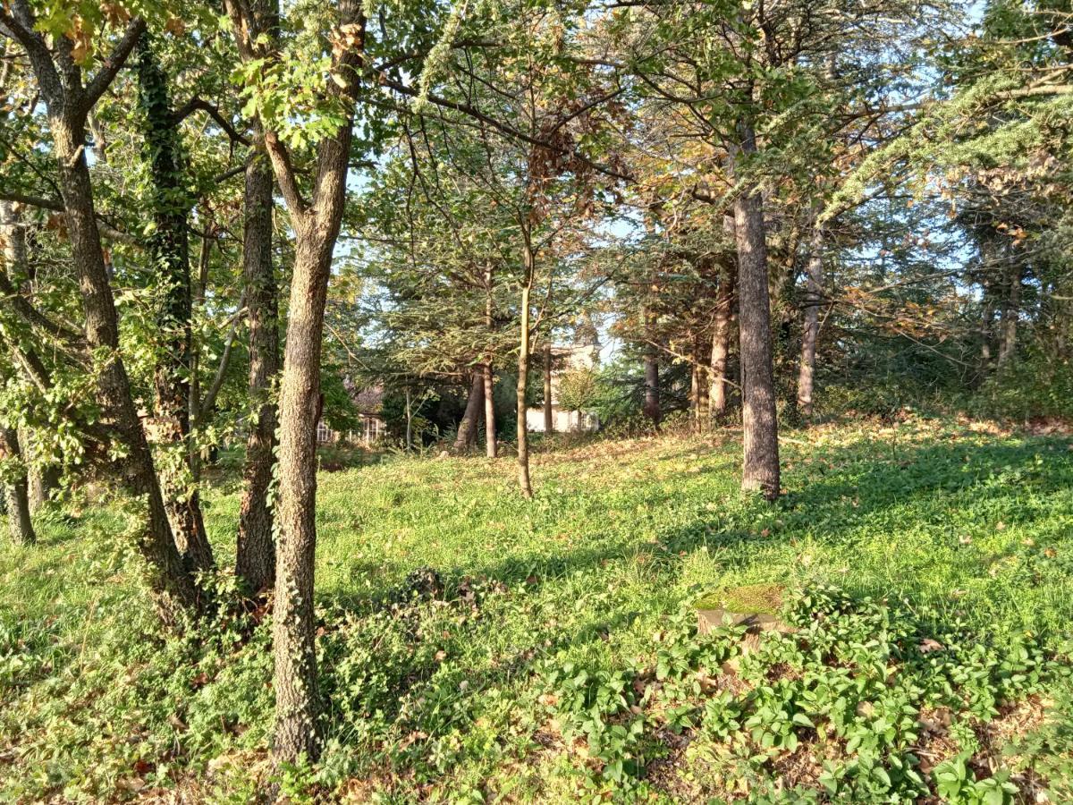 Maison Calme Avec Piscine Entouree De Son Parc Quintenas Esterno foto